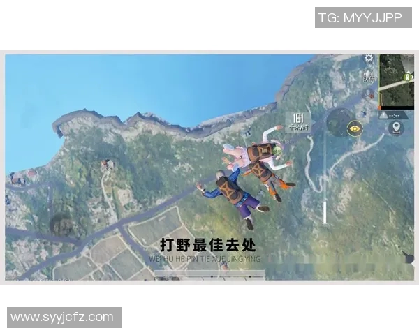 和平精英战场揭秘WE战队的比赛经验与战术分析
